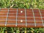 Rickenbacker 450/12 Setneck, Black: Neck - Front