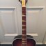 Rickenbacker 730/6 PW Build (acoustic), MonteBrown: Neck - Front