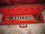 Rickenbacker 100/6 LapSteel, Burgundy: Free image