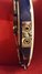 Rickenbacker 360/6 , Blueburst: Close up - Free