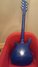 Rickenbacker 620/6 Mod, Midnightblue: Full Instrument - Rear