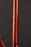 Rickenbacker 330/6 , Fireglo: Neck - Rear