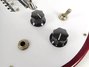 Rickenbacker 425/6 V63, Burgundy: Free image
