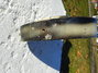 Rickenbacker 59/6 LapSteel, Gray Sunburst: Free image