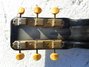 Rickenbacker 59/6 LapSteel, Gray Sunburst: Headstock - Rear