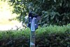 Rickenbacker 4003/4 , Jetglo: Headstock
