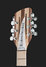 Rickenbacker 360/12 , Natural Walnut: Headstock