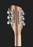 Rickenbacker 360/12 , Natural Walnut: Headstock - Rear