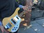 Rickenbacker 4001/4 , Mapleglo: Free image2