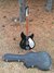 Rickenbacker 335/6 Mod, Jetglo: Full Instrument - Front