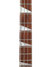 Rickenbacker 4003/4 , Midnightblue: Neck - Front