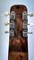 Rickenbacker 100/6 LapSteel, Brown: Headstock - Rear
