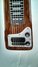 Rickenbacker 100/6 LapSteel, Brown: Body - Front