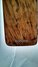 Oct 1976 Rickenbacker 100/6 LapSteel, Brown: Body - Rear