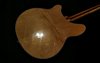 May 1988 Rickenbacker 370/12 RM, Mapleglo: Body - Rear
