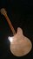 Rickenbacker 370/12 RM, Mapleglo: Full Instrument - Rear