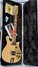 Rickenbacker 660/6 , Mapleglo: Close up - Free2