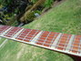 Rickenbacker 660/12 TP, Fireglo: Neck - Front