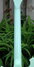Rickenbacker 660/12 , Blue Boy: Neck - Rear