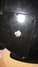 Rickenbacker 2050/4 El Dorado, Jetglo: Close up - Free2