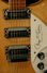 Rickenbacker 370/12 RM, Mapleglo: Free image