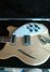 Rickenbacker 360/6 , Mapleglo: Free image2