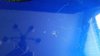Rickenbacker 610/6 Mod, Midnightblue: Body - Rear