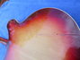 Rickenbacker 360/12 Mod, Fireglo: Body - Rear