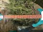 Rickenbacker 4003/5 S, Turquoise: Close up - Free
