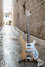 Rickenbacker 4001/4 , Mapleglo: Free image