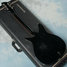 Rickenbacker 320/6 , Jetglo: Full Instrument - Rear