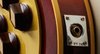 Rickenbacker 365/6 Capri, Autumnglo: Close up - Free