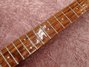 Rickenbacker 330/6 , Fireglo: Neck - Front