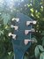 Rickenbacker 360/6 , Turquoise: Headstock - Rear