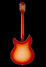 Rickenbacker 1993/12 Plus, Fireglo: Full Instrument - Rear