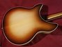 Jan 1984 Rickenbacker 370/12 WB, Walnut: Body - Rear