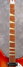 Rickenbacker 360/6 Bound Headstock, Fireglo: Neck - Front