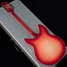 Rickenbacker 360/12 C63, Fireglo: Full Instrument - Rear