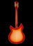 Rickenbacker 360/12 C63, Fireglo: Full Instrument - Rear