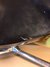 Rickenbacker 360/12 V64, Jetglo: Free image