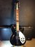 Rickenbacker 360/12 V64, Jetglo: Full Instrument - Front