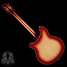 Rickenbacker 360/6 , Fireglo: Full Instrument - Rear