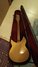 Rickenbacker 330/6 , Mapleglo: Full Instrument - Rear
