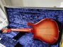 Rickenbacker 660/12 TP, Fireglo: Full Instrument - Rear