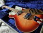 Rickenbacker 660/12 TP, Fireglo: Close up - Free2