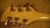 Rickenbacker 620/6 , Mapleglo: Headstock - Rear