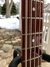 Rickenbacker 4003/4 S, Fireglo: Neck - Front