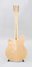 Rickenbacker 370/12 VP, Mapleglo: Full Instrument - Rear