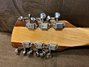 Rickenbacker 660/12 , Mapleglo: Headstock - Rear