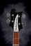 Rickenbacker 4003/4 , Jetglo: Headstock
